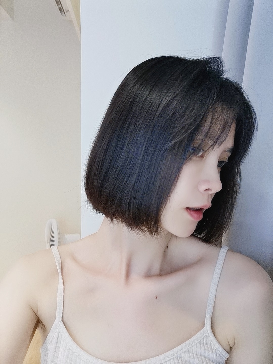 pibu pibu shampoo