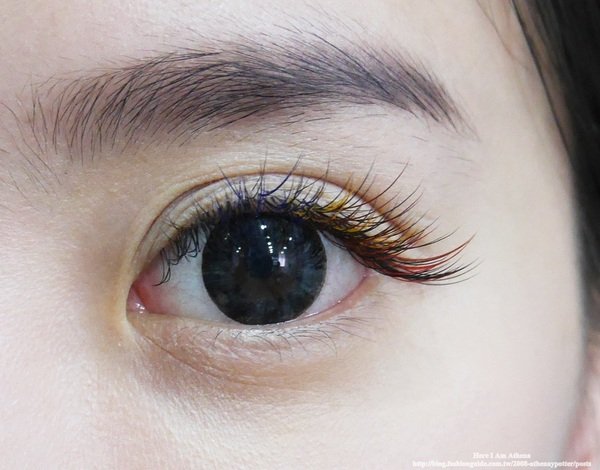 世貿美容展 想學接睫毛的來看這篇