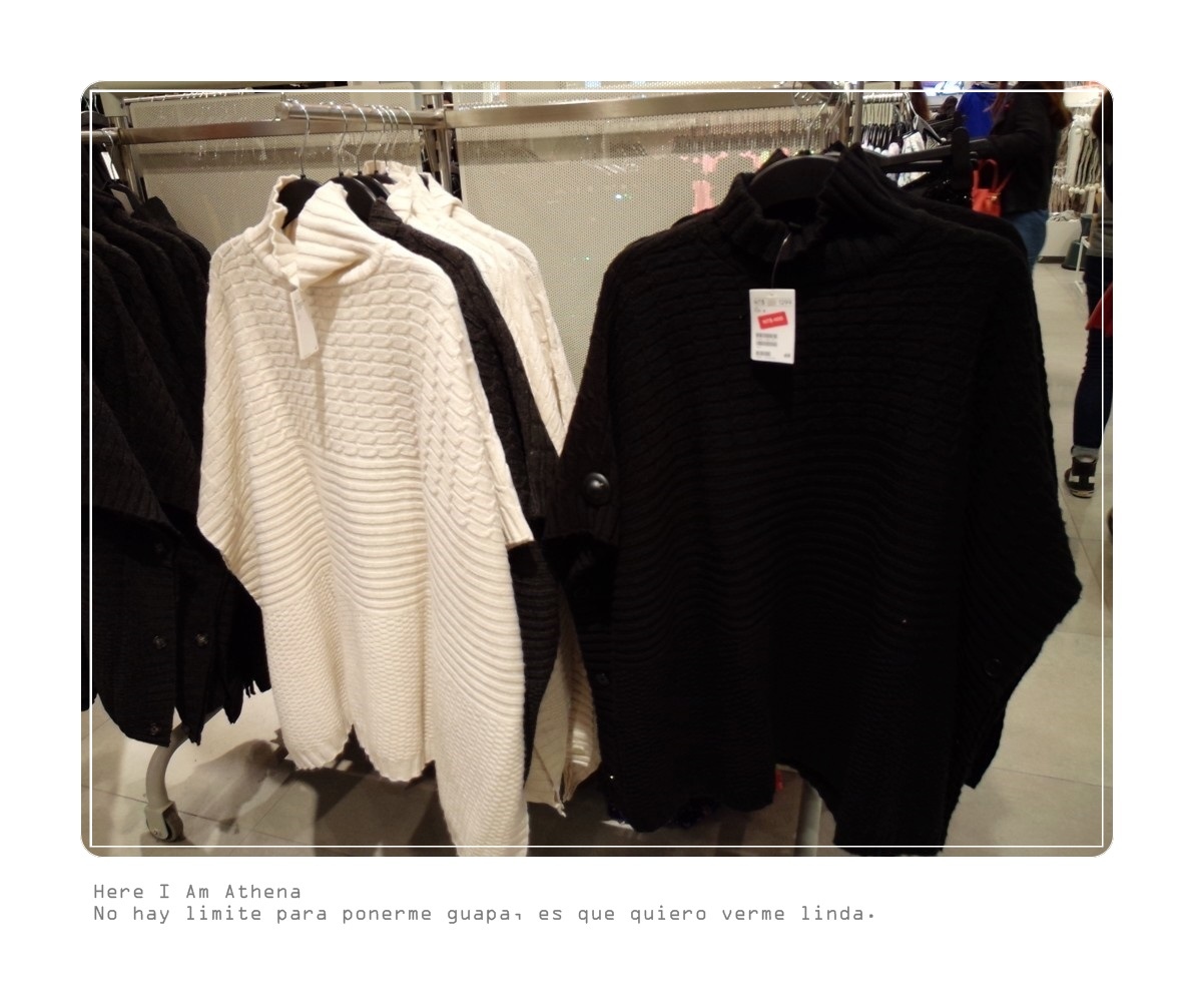 HM PAN_1029.jpg