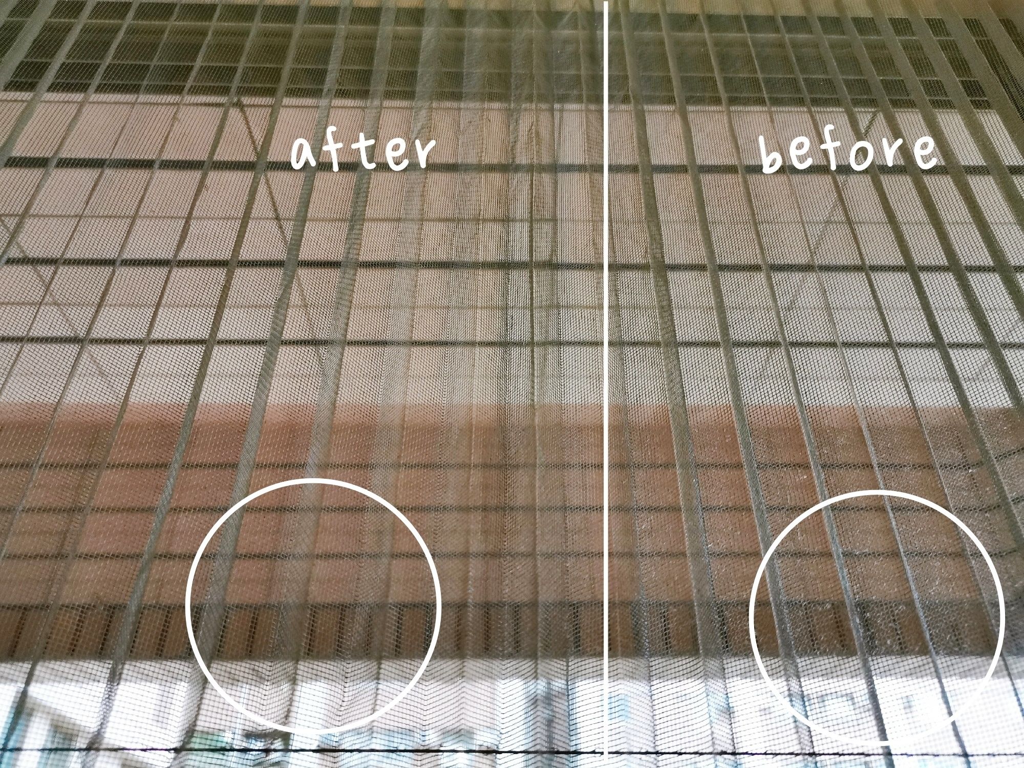 10 (2).jpg