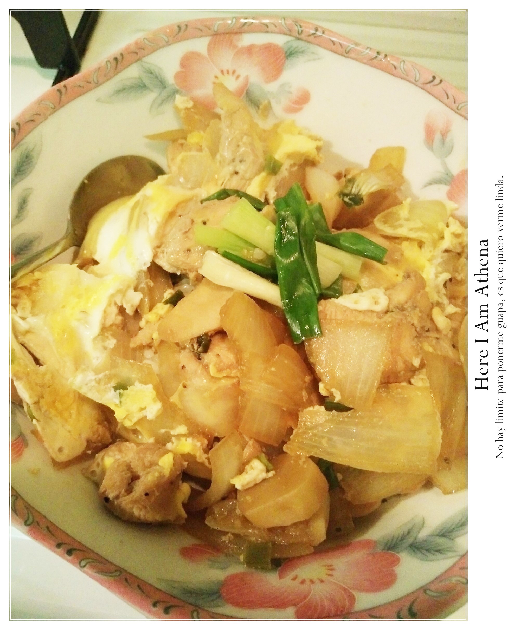 [食譜]第一次做親子丼飯就上手。無油低卡健康又好吃!!!